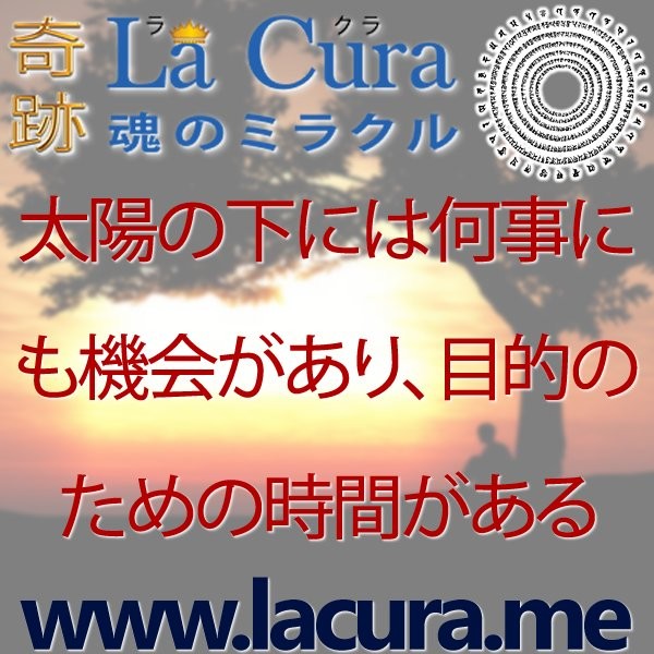 12335 太陽の下には何事にも機会があり 目的のための時間がある.jpg